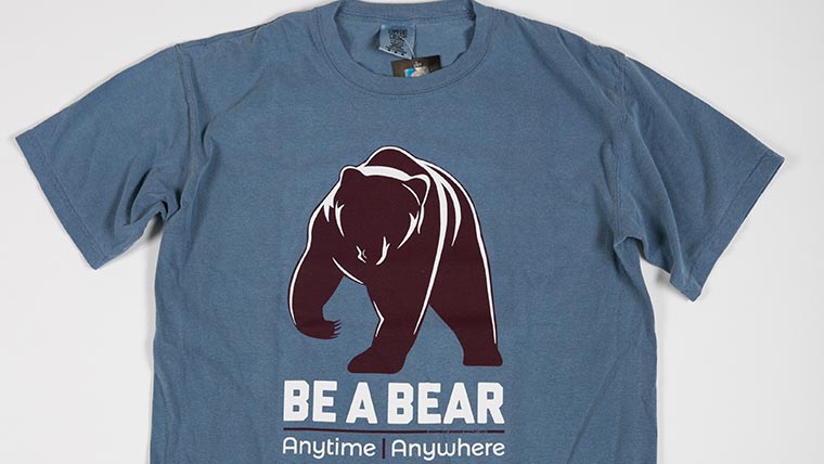 The winning design from the 2017 Be A Bear contest.