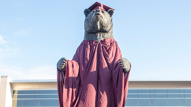 The bronze bear statue in front of Plaster Student Union decked out in a maroon mortarboard and commencement robe.
