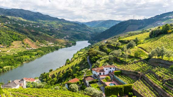 A scenic view of the Douro River valley with homes nearby.